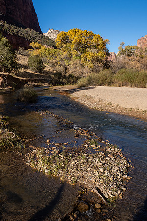 Zion National Park 2024