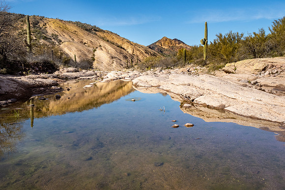 Arizona 2020