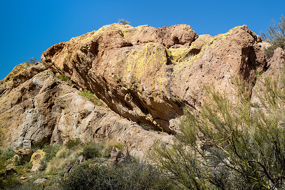 Arizona 2020