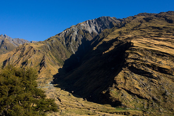 New Zealand 2013