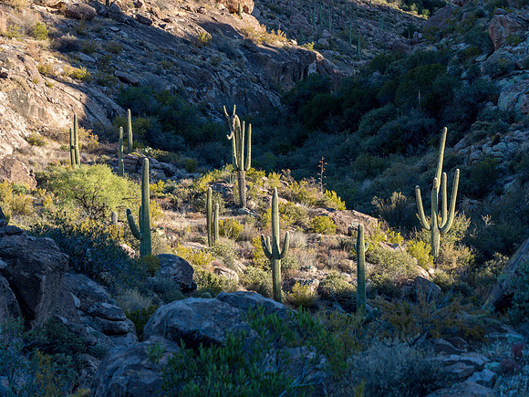 Arizona 2018