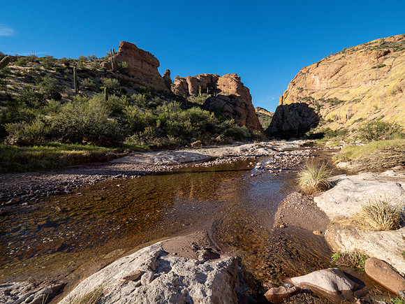 Arizona 2019