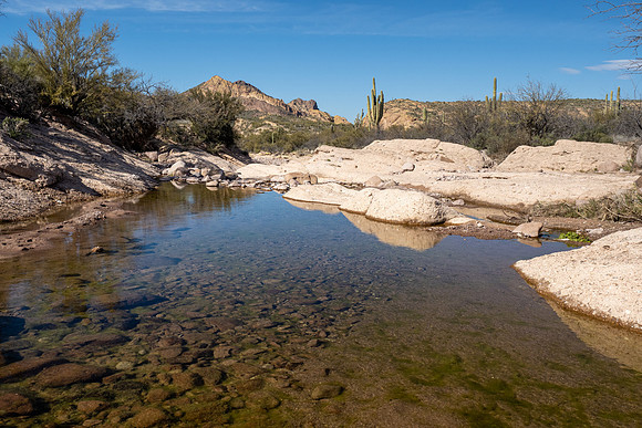 Arizona 2020