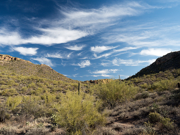 Arizona 2018