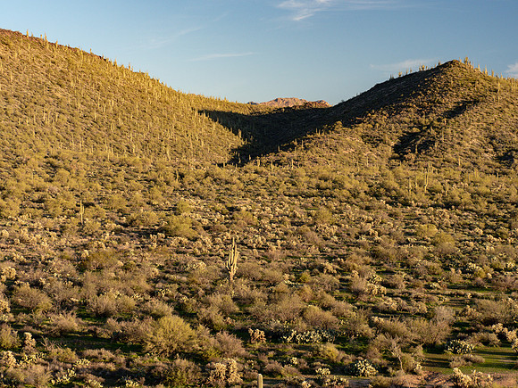 Arizona 2019