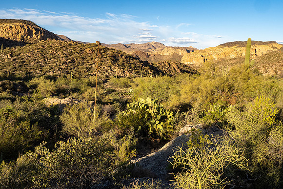 Arizona 2021
