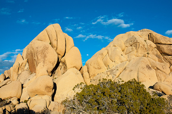 Joshua Tree National Park