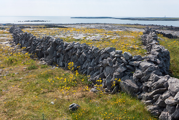 Ireland 2013