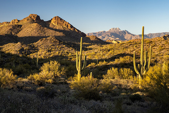Arizona 2021