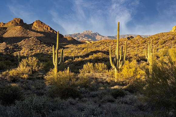 Arizona 2021