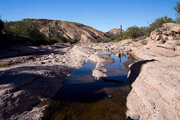 Arizona 2013 - Superstitions Hike First Water to Hackberry Sprin