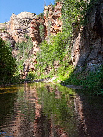 Arizona 2005