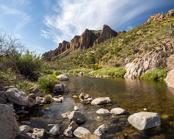 Arizona 2020
