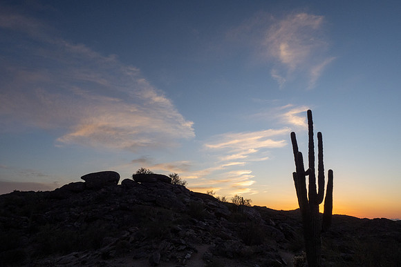 Arizona 2021