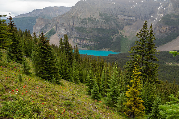Banff National Park 2025