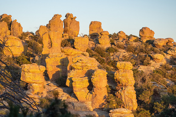 Arizona 2024