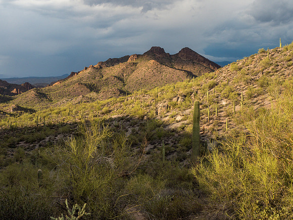 Arizona 2018