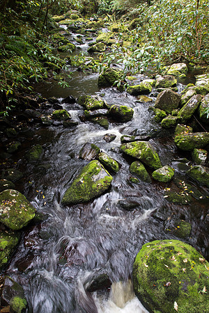 New Zealand 2013