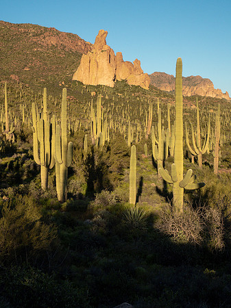 Arizona 2019