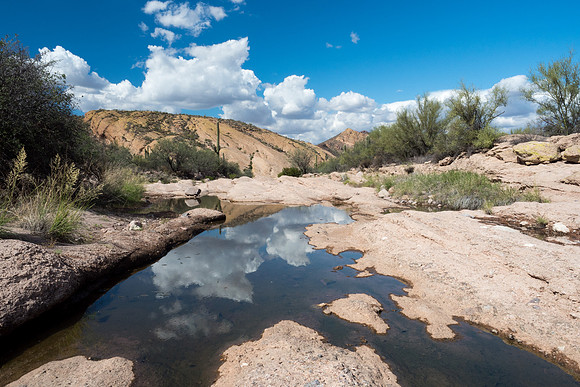 Arizona 2018