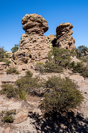 Arizona 2024