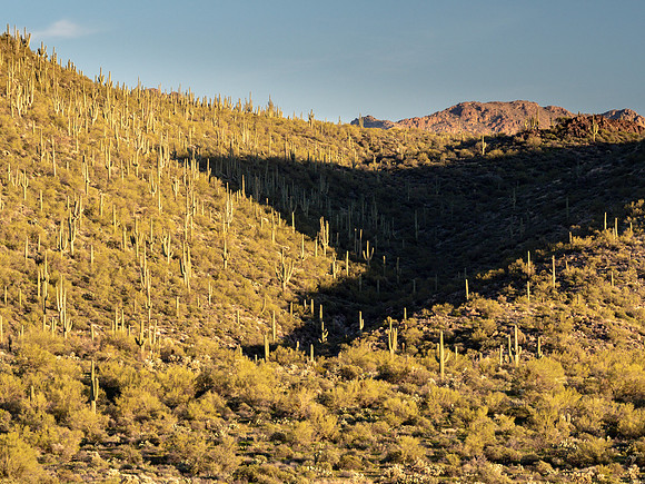 Arizona 2019