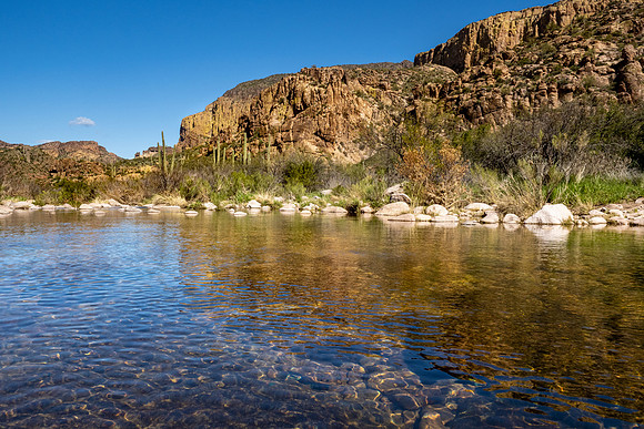 Arizona 2020