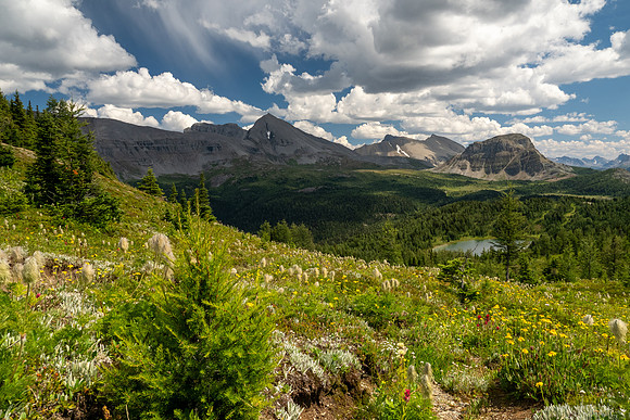 Banff National Park 2025