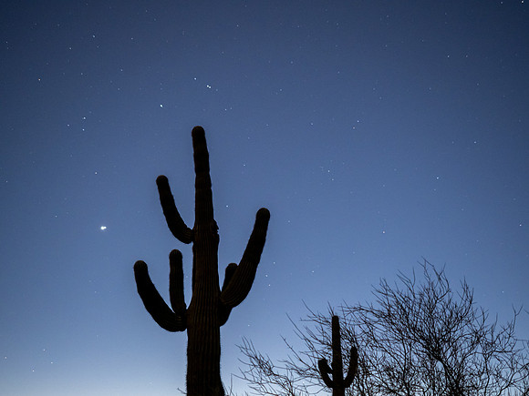 Arizona 2020