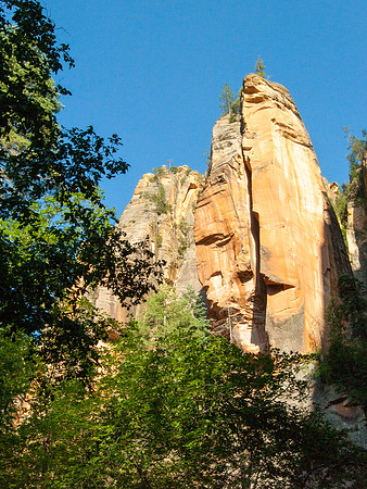 Arizona 2005