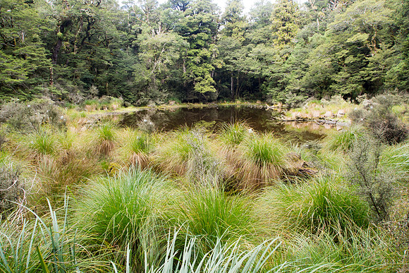 New Zealand 2013