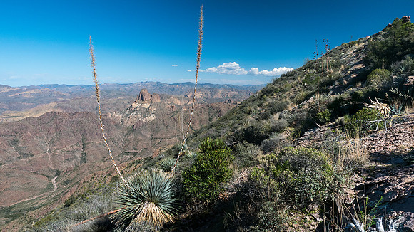 Arizona 2015 - Superstitions Ridge Hike (Mar)