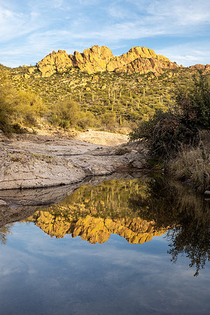Arizona 2020