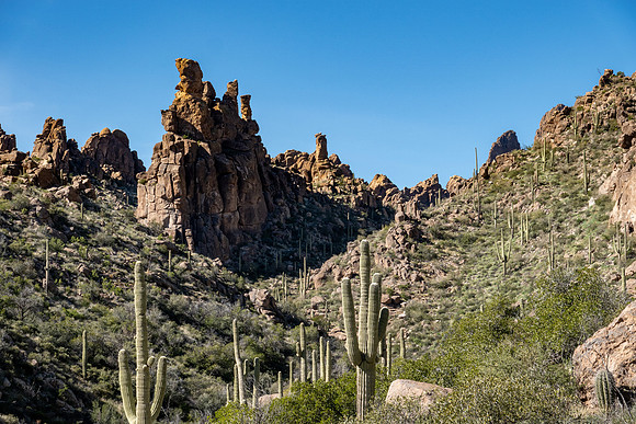 Arizona 2019