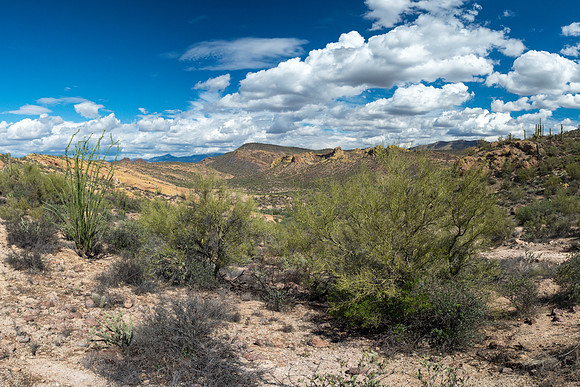 Arizona 2018