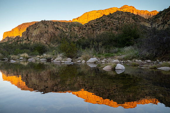 Arizona 2020