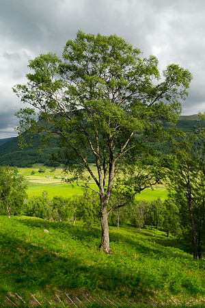 Scotland 2012