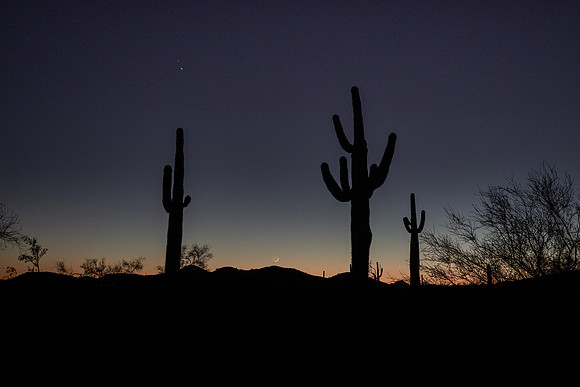 Arizona 2020