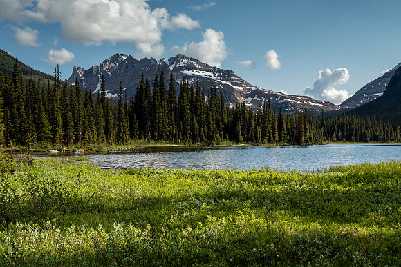 Pacific NW 2019
