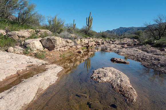 Arizona 2019