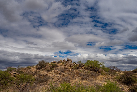 Arizona 2025