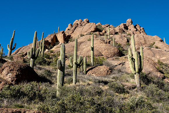 Arizona 2019