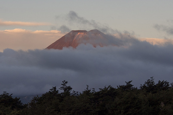 New Zealand 2013