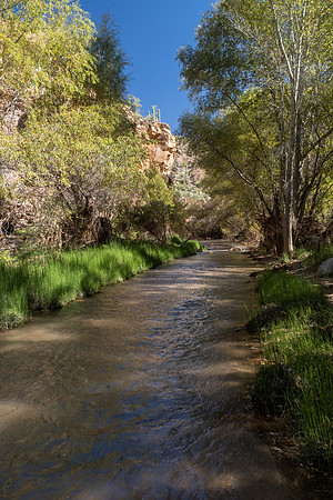 Arizona 2022