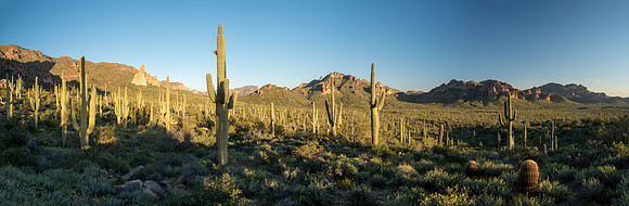 Arizona 2019