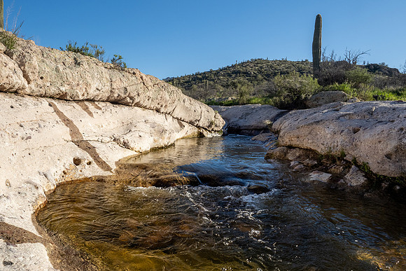 Arizona 2020