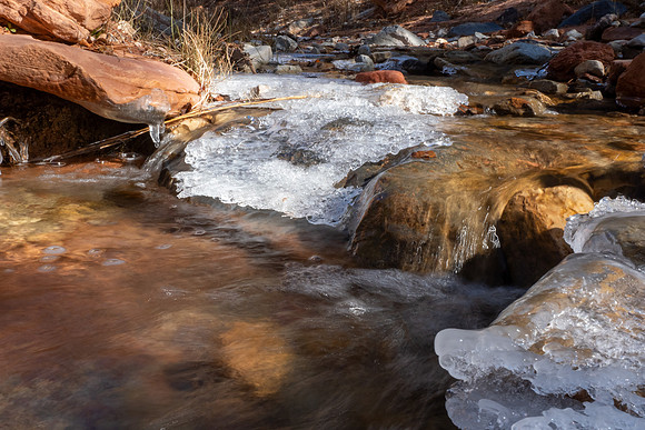 Zion National Park 2024
