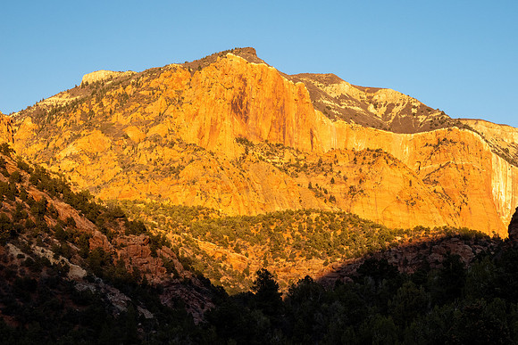 Zion National Park 2024