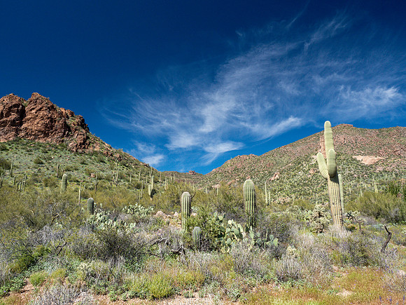 Arizona 2019