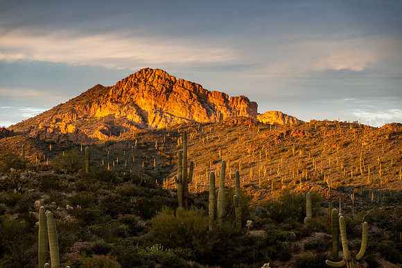 Arizona 2020